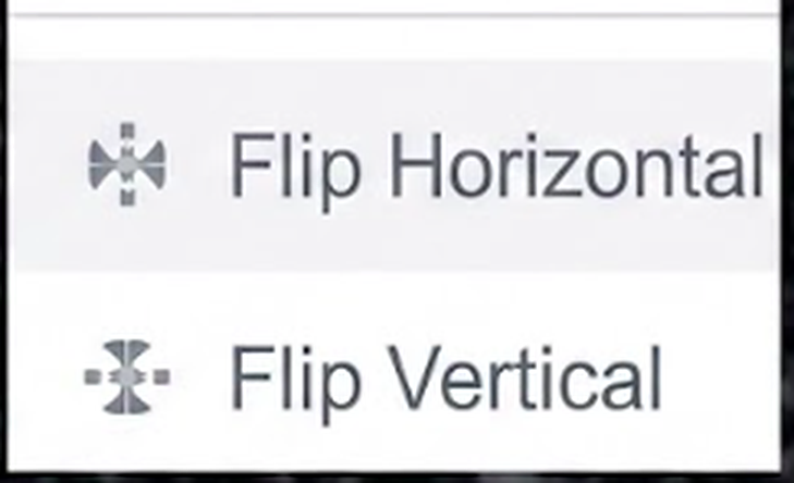 Flip any element horizontally or vertically to mirror its orientation.